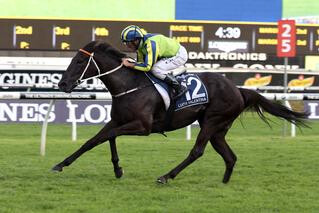 Lucia Valentina (NZ) scores scintillating win in the A$4m Queen Elizabeth Stakes. Photo Credit: Equine Images.